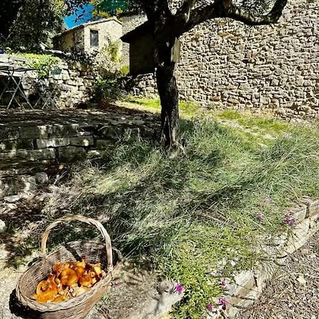 Semesterbostad Cute Stone In Provence Revest-Saint-Martin