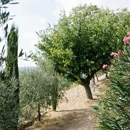 Cute Stone In Provence
