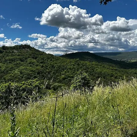 Cute Stone In Provence Semesterbostad Revest-Saint-Martin